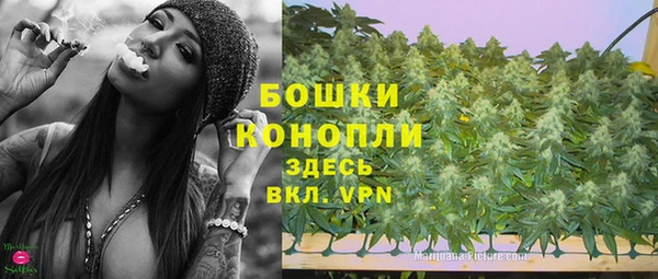 дживик Тында